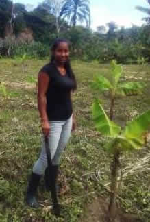 Cultivo de plátano